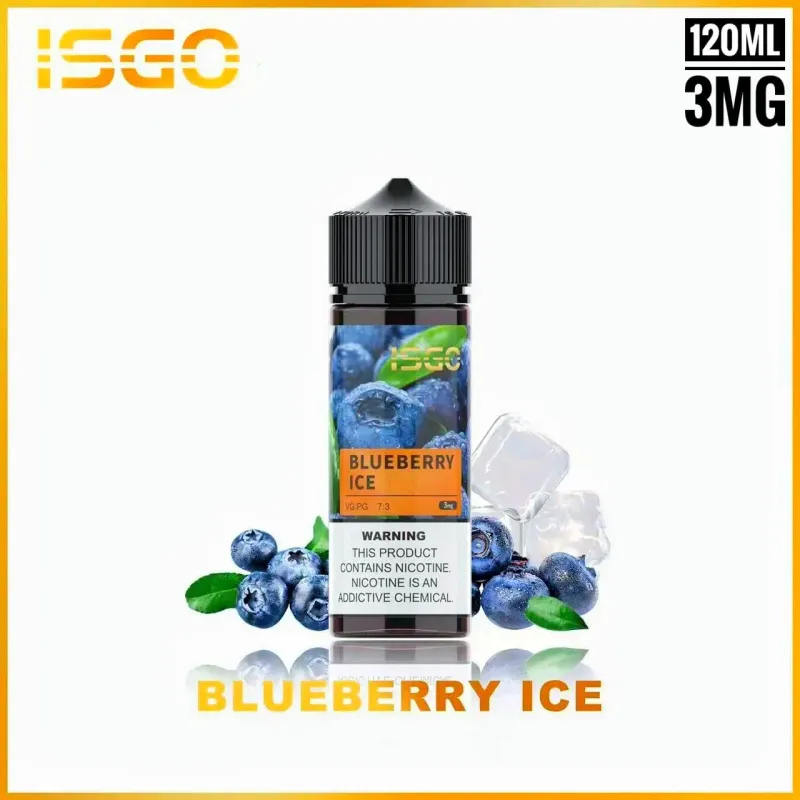 Blueberry Ice - ISGO E-liquid 120mL - image 1