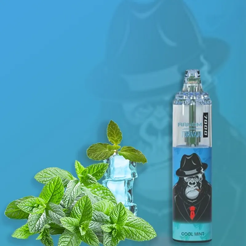 Cool Mint - R and M Tornado 7000 Puffs - VapeSoko