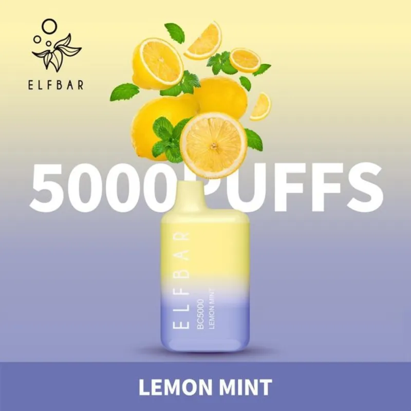 Lemon Mint-Elfbar BC5000 - image 1