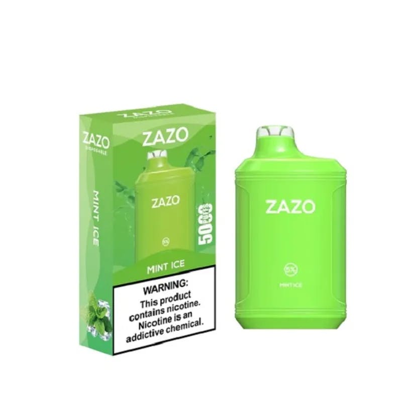 Mint Ice-ZAZO 5000 Puffs Disposable - VapeSoko