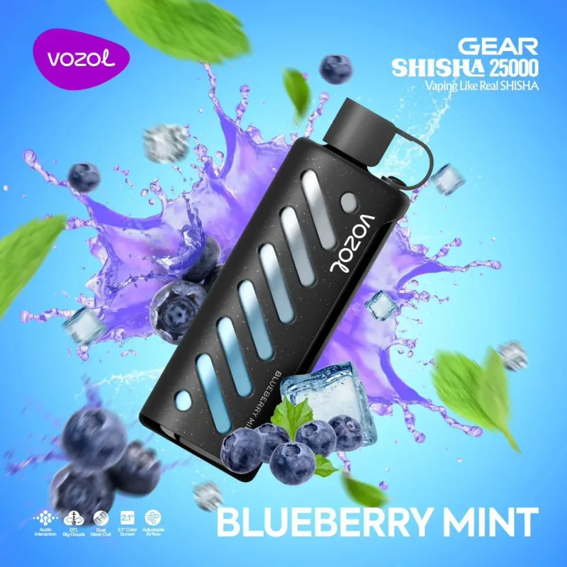 Blueberry Mint-Vozol Gear Shisha 25000 Puffs - VapeSoko