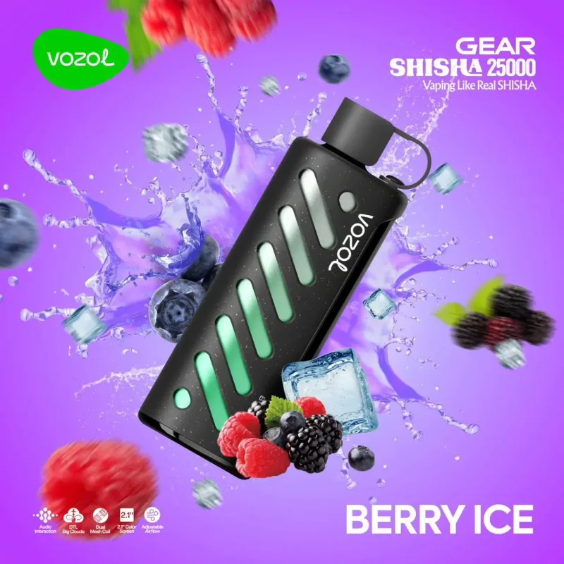Berry Ice-Vozol Gear Shisha 25000 Puffs - image 1