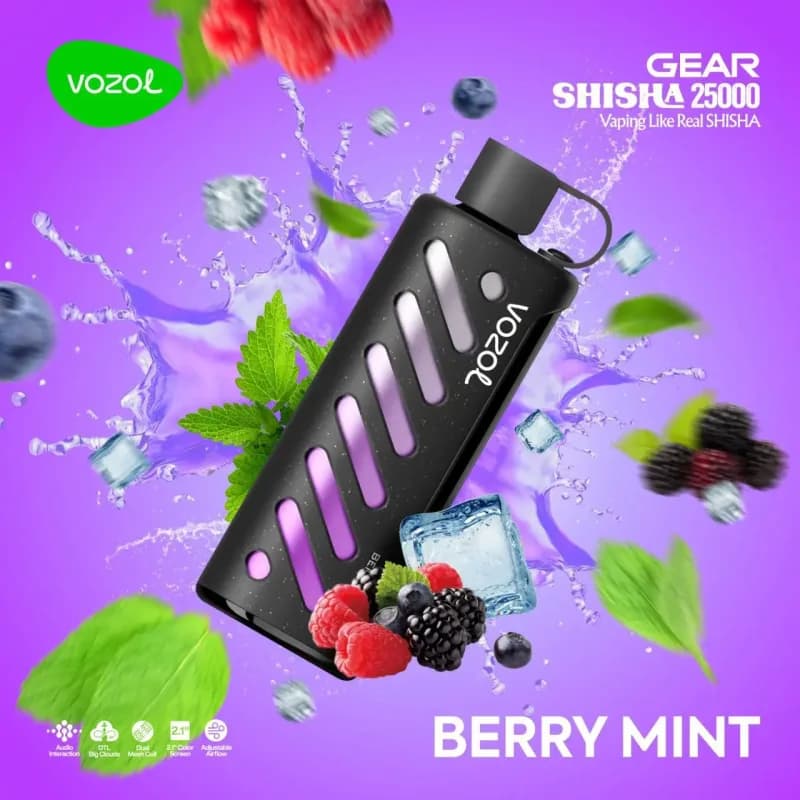 Berry Mint-Vozol Gear Shisha 25000 Puffs - VapeSoko
