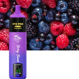 Product thumbnail - 1