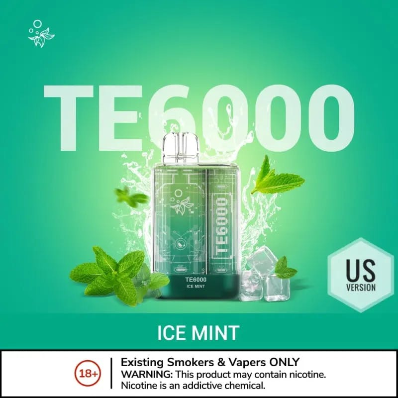  Ice Mint-Elf Bar TE6000 - 6000 Puffs - VapeSoko