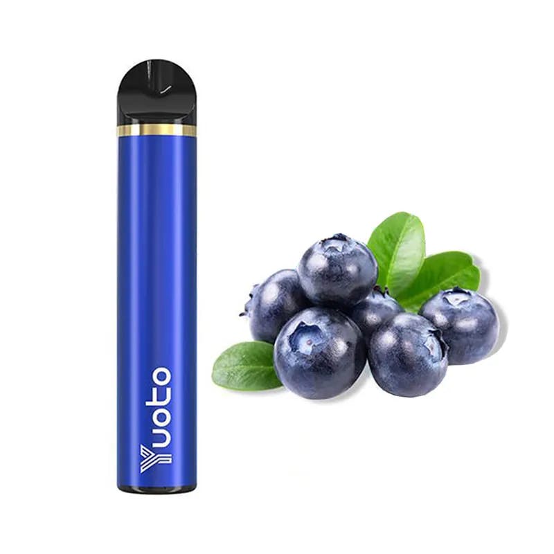 Blueberry Yuoto  1500 Puffs - VapeSoko