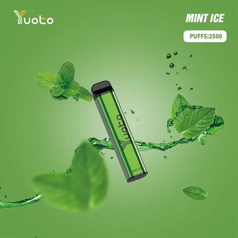 Mint Ice Yuoto XXL  - image 1